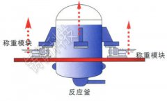 5000kg鹩